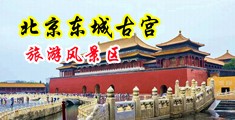 黄色艹屄激情中国北京-东城古宫旅游风景区